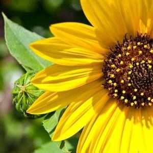 Meet your Posher, Hazel